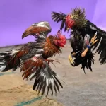 Winning Sabong Betting Strategies to Boost Your Chances on PH365